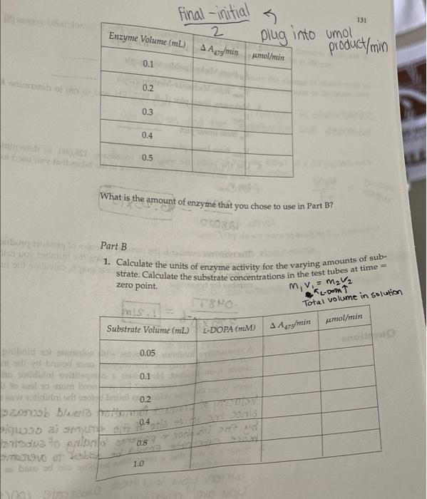 In the following table, indicate the absorbencies recorded for the time points