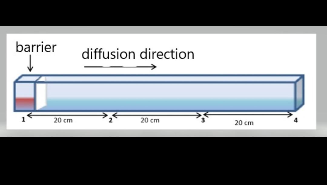  In the experimental setup in the figure, one-dimensional diffusion is aimed