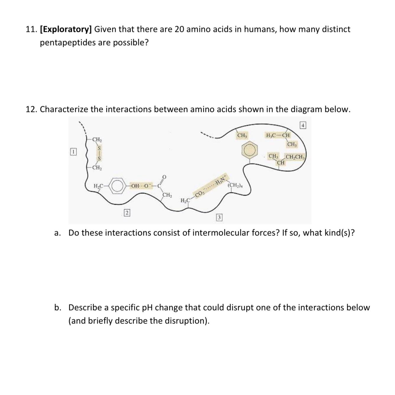  [Exploratory] Given that there are 20 amino acids in humans, how