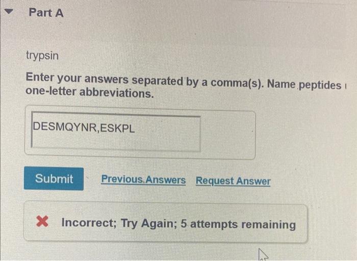 unknown hormone (Asn-Gln-Cys-Met-Asn-Ser-Asp-Arg-Gln-Tyr-Lys-Pro-Ile) is cleaved by Enter your answers separated by a