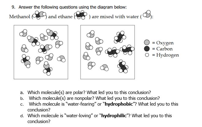  Answer the following questions using the diagram below: = Oxygen =