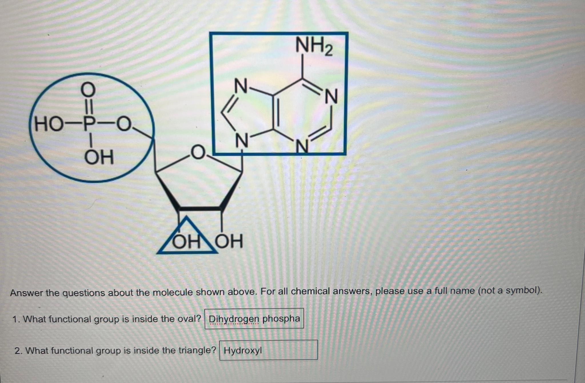  Answer the questions about the molecule shown above. For all chemical