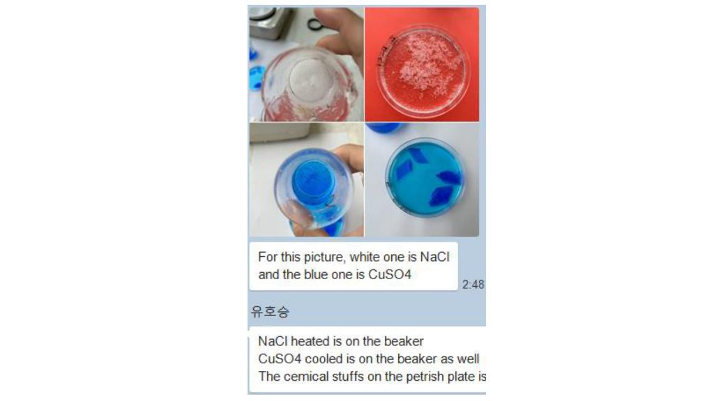  1. Infer how initially heating the solutions affected the solubility of