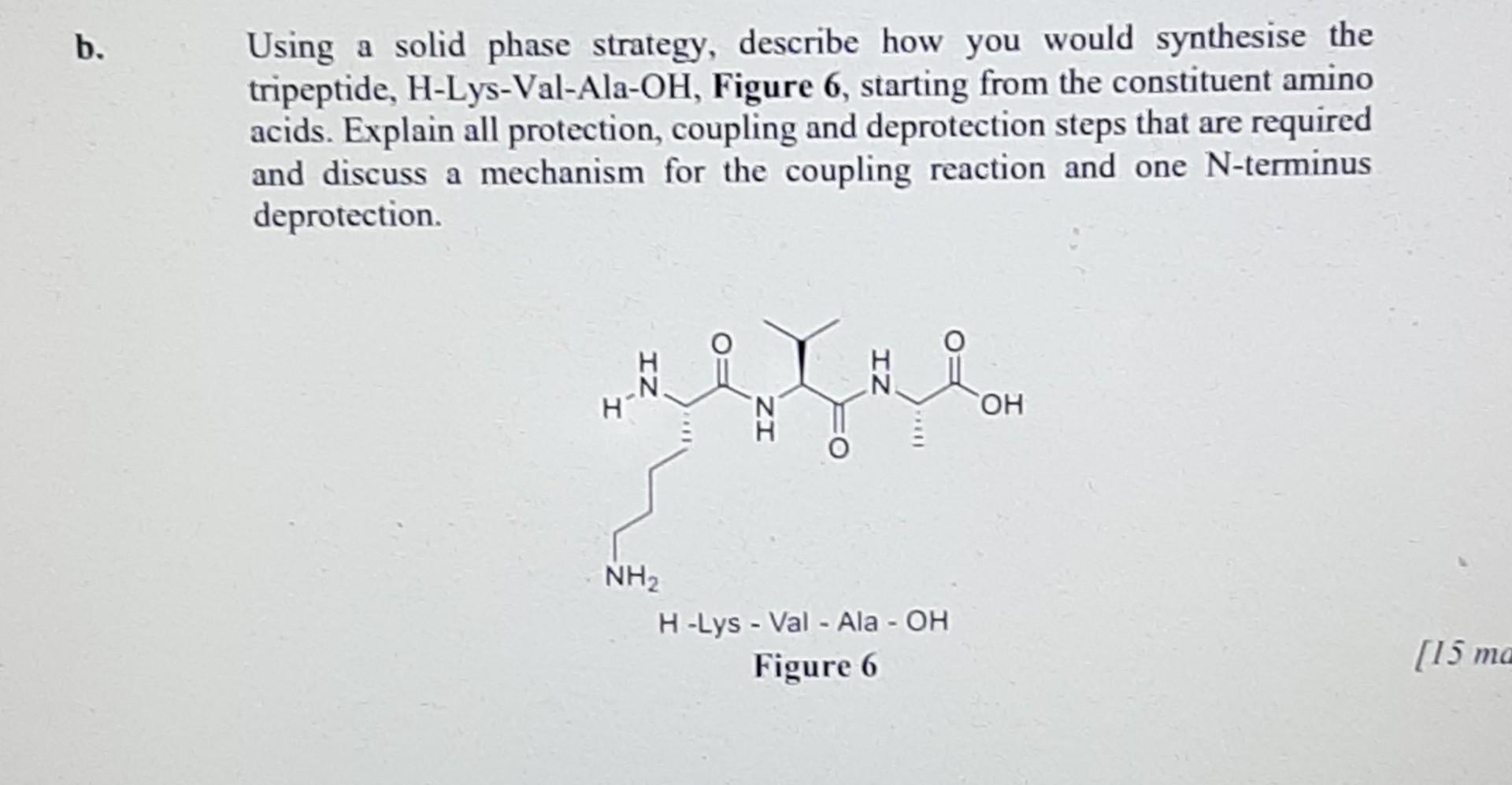  b. Using a solid phase strategy, describe how you would synthesise