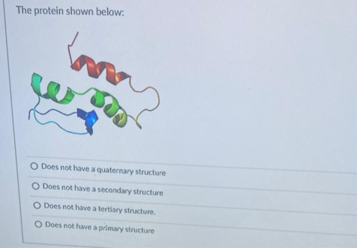  The protein shown below: Does not have a quaternary structure Does