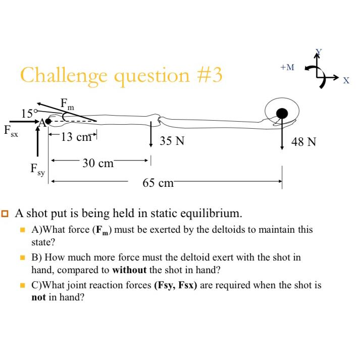  Challenge question #3 A shot put is being held in static