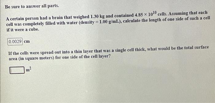 ey plisss I need de second part os this exercise Be sure