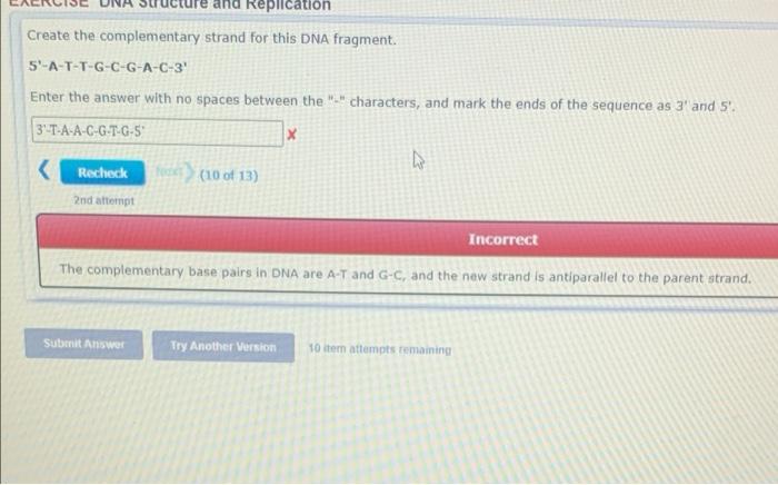  and Replication Create the complementary strand for this DNA fragment. S-A-T-T-G-C-G-A-C-3