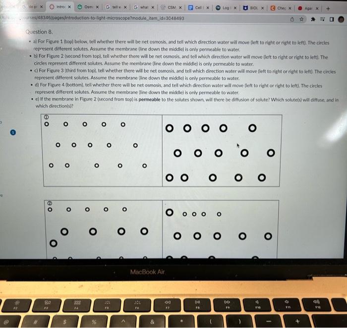 Please help with a-e Question 8 . - a) For Figure 1