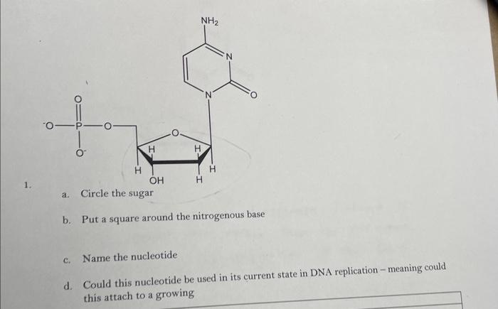  answer the last question please b. Put a square around the
