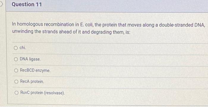 50 min. thank you! The proofreading function of DNA polymerase does not