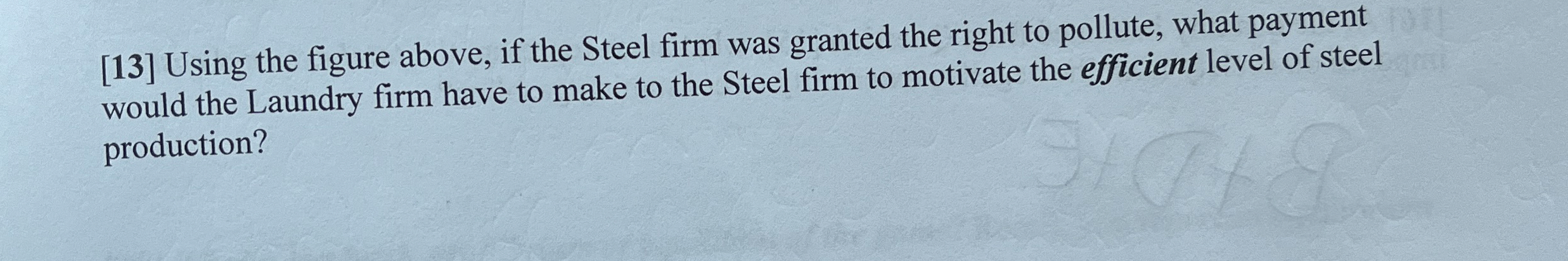  [13] Using the figure above, if the Steel firm was granted