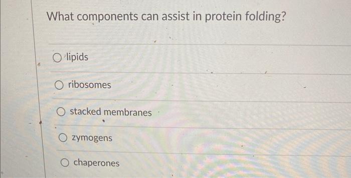 please answer all for a thumbs up What components can assist in