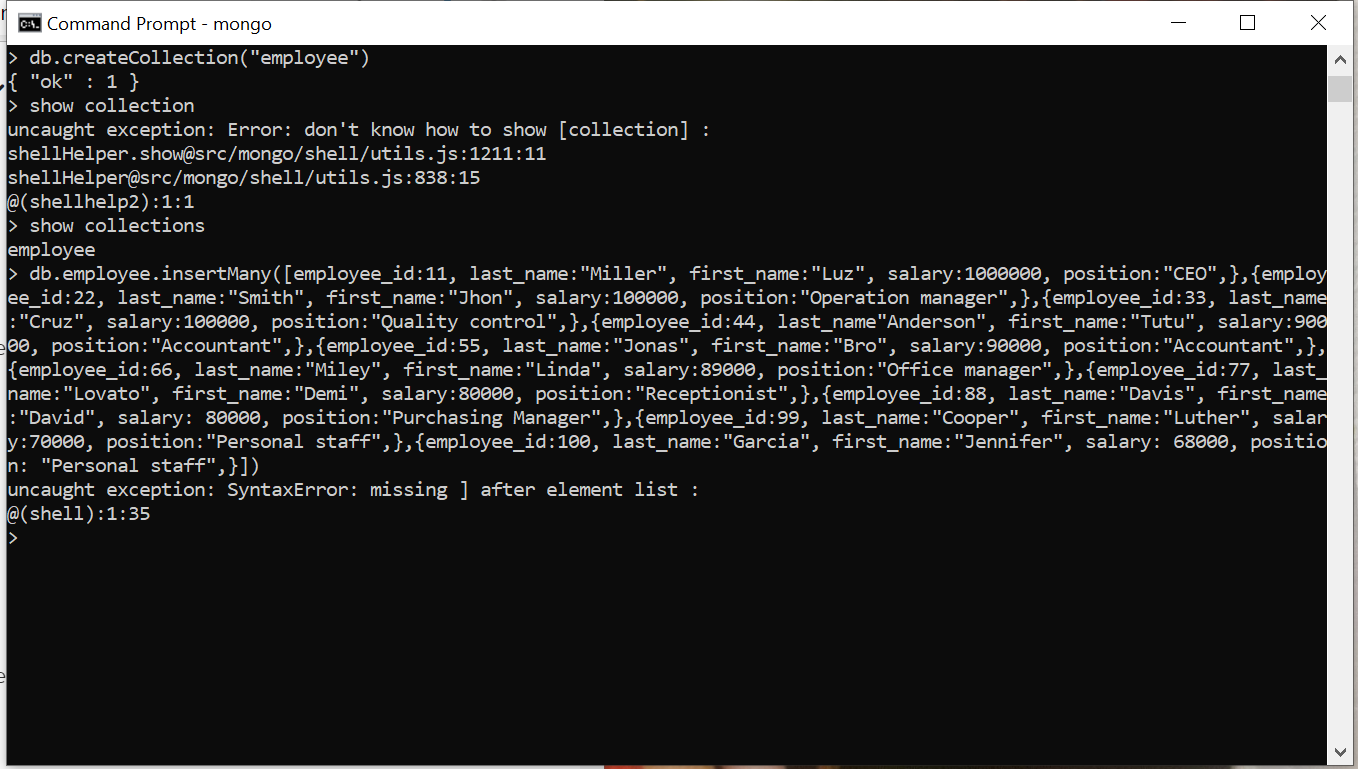 Mongo DB Can someone explain me where do I have a problem?