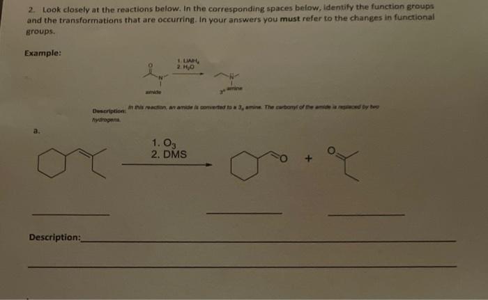  2. Look closely at the reactions below. In the corresponding spaces