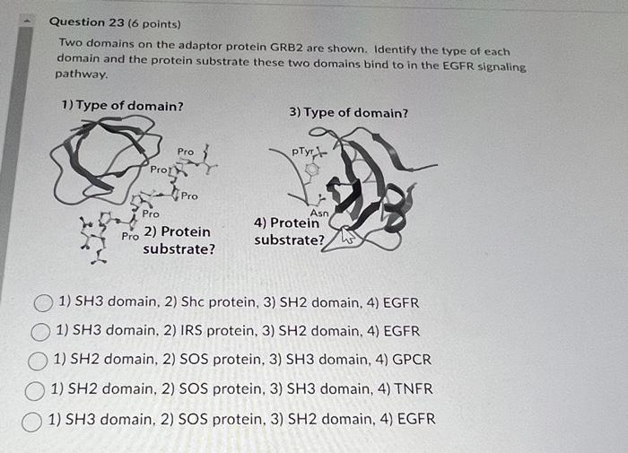  Question 23 ( 6 points) Two domains on the adaptor protein