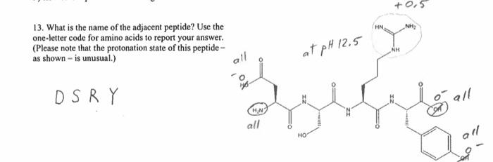 explain in detail how answer was obtained 13. What is the name