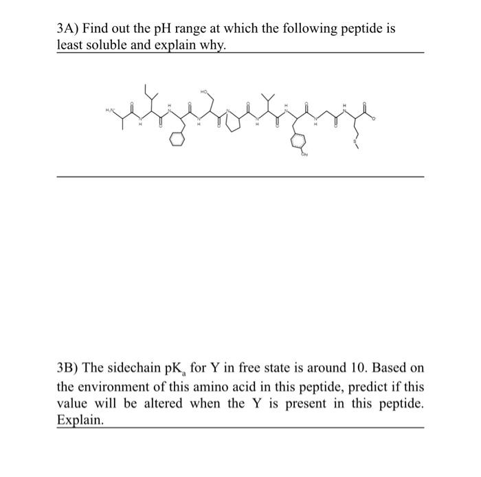  3A) Find out the pH range at which the following peptide