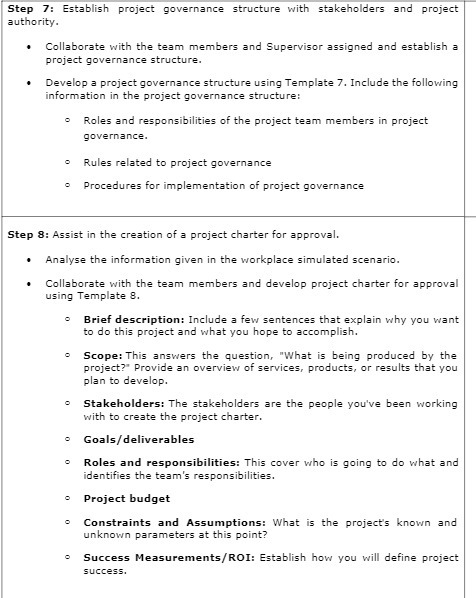 Step 7: Establish project governance structure with stakeholders and project authority.