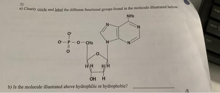  2) a) Clearly circle and label the different functional groups found
