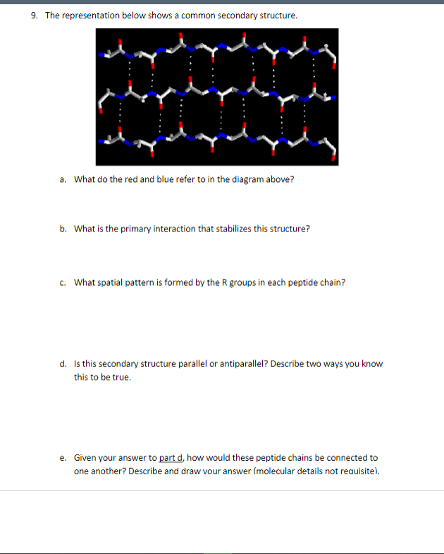  9. The representation below shows a common secondary structure. a. What