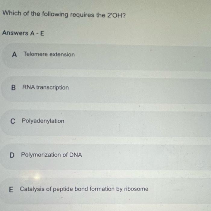 Which of the following is a structure containing repetitive DNA that is