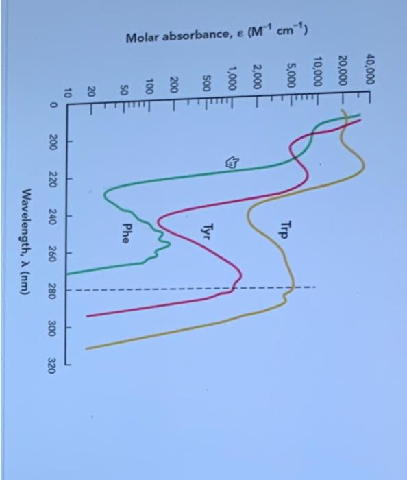 please help Given the graph above. calculate the absorbance at 280nm(UV280 )