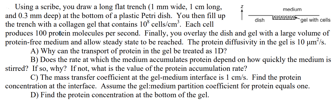 medium dish Using a scribe, you draw a long flat trench