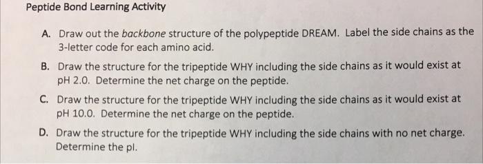  Peptide Bond Learning Activity A. Draw out the backbone structure of