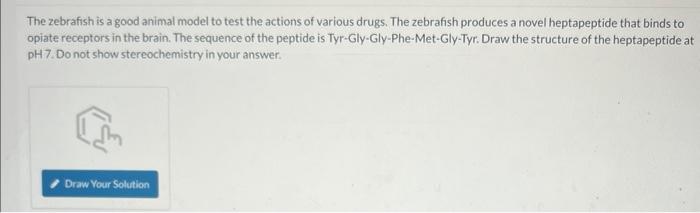 does not have a primary a-amino group? lysine glutamate arginine proline glutamine