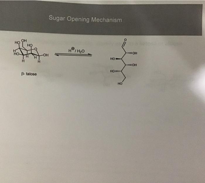 Show all work and type please Sugar Opening Mechanism Propose a Synthesis