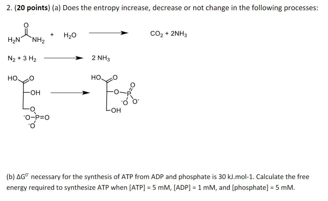 2. (20 points) (a) Does the entropy increase, decrease or not