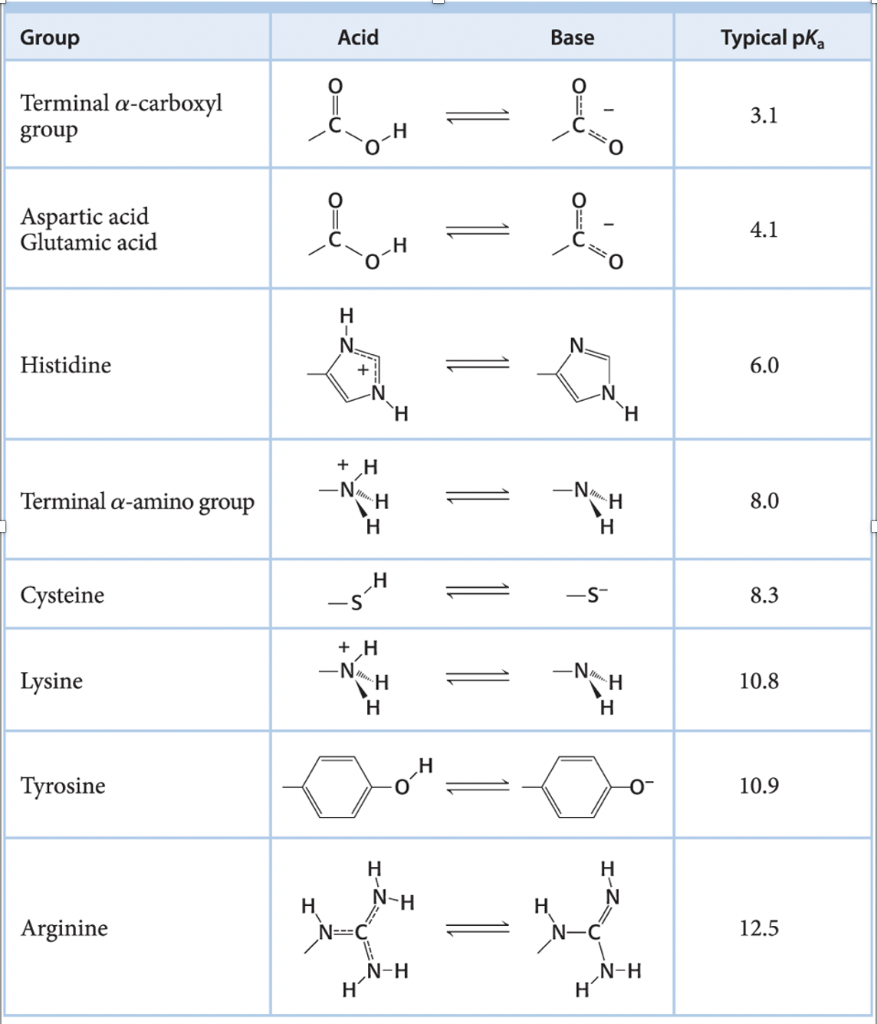 QUESTION: At pH=10, what would be the approximate net charge of the