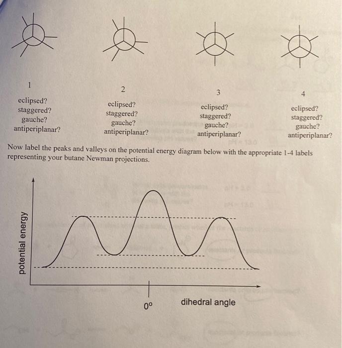 in eclipsed and staggered conformations. If butane is viewed down the two