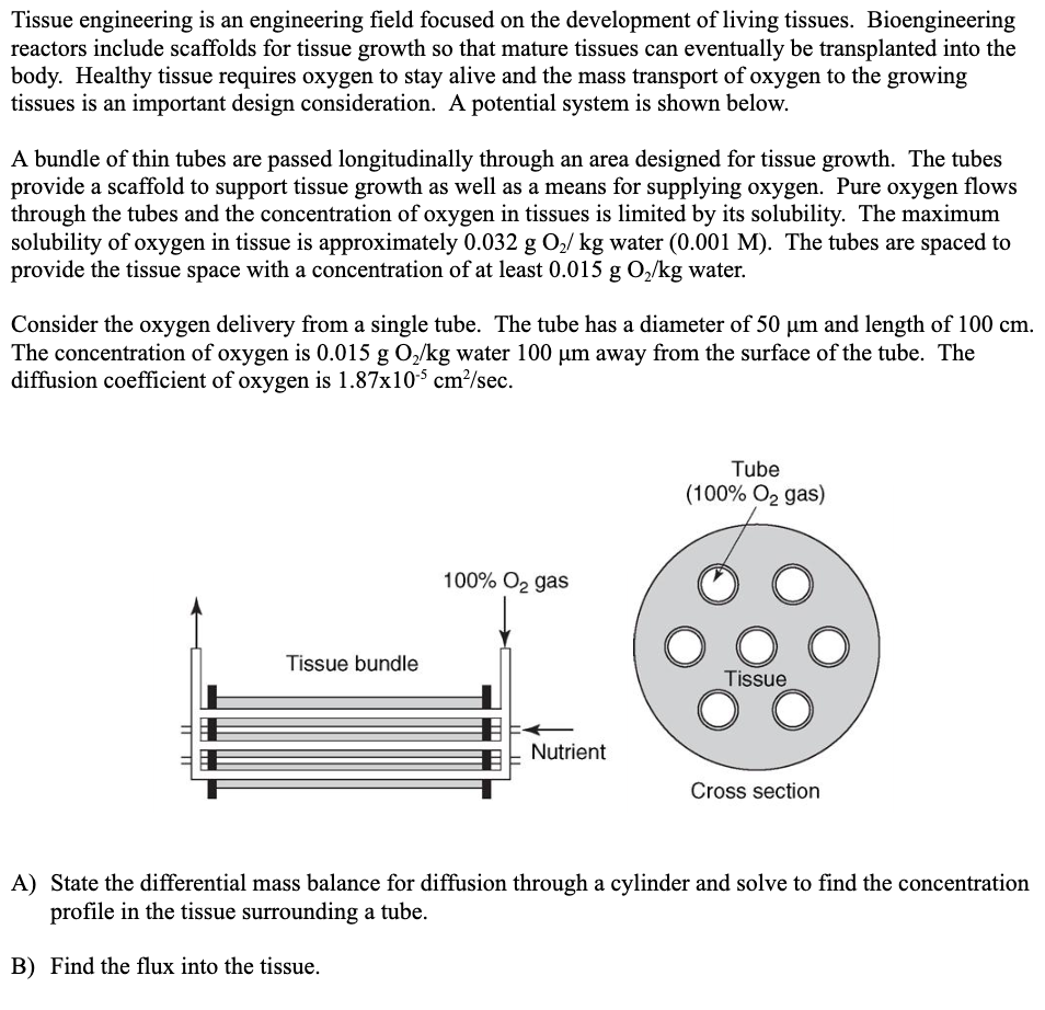  Tissue engineering is an engineering field focused on the development of