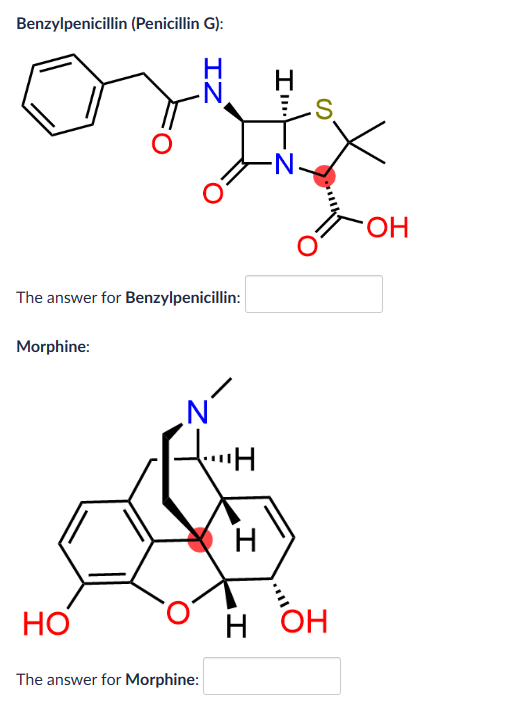 highlighted in red: Please type one of the following: R or S.