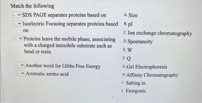  Match the following SDS PAGE separates proteins based on A. Size