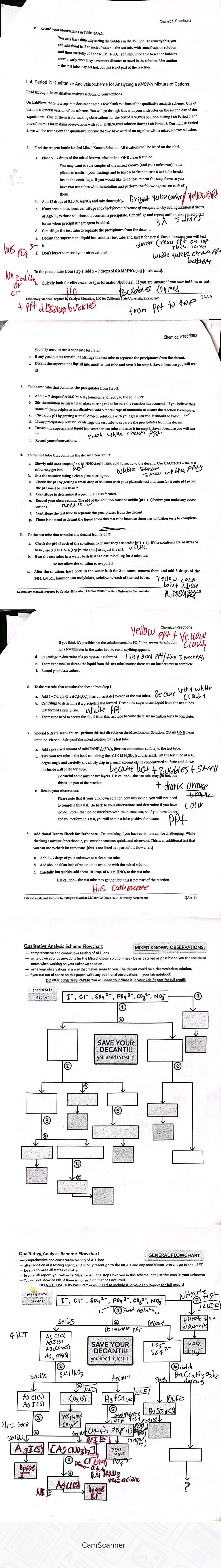  Qualitative Analysis Scheme Flowchart. Complete "Mixed Known Observations" Flowchart. (ignore red