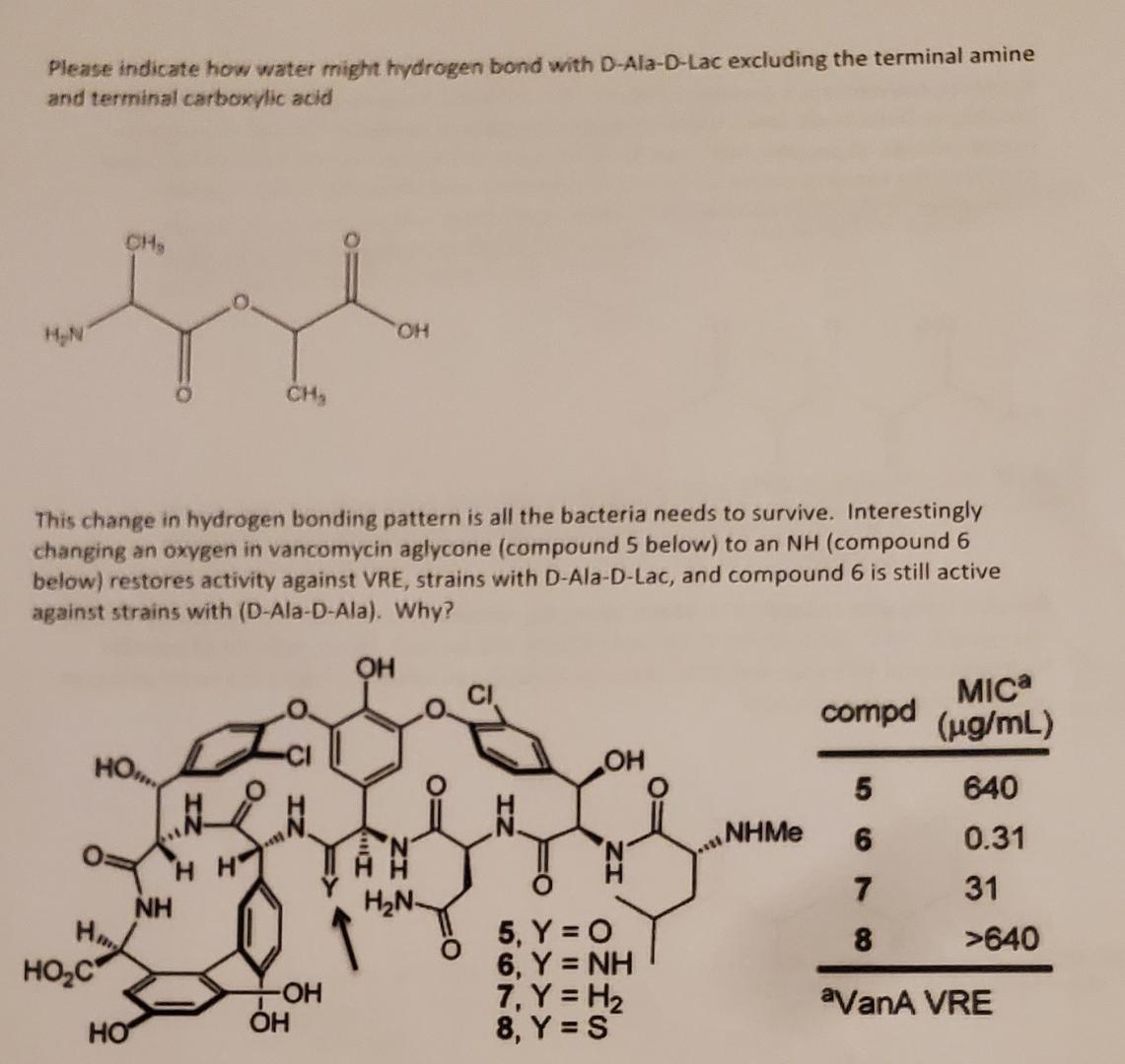  Please answer both questions. Please indicate how water might hydrogen bond