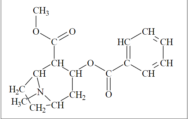  Circle all of the different functional groups you can make out