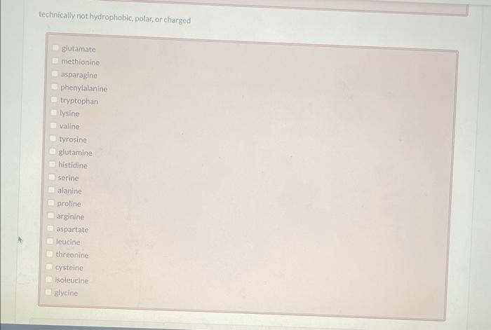 glutamate aspartate alanine histidine tyrosine- threonine phenylalanine isoleucine proline tryptophan arginine asparagine