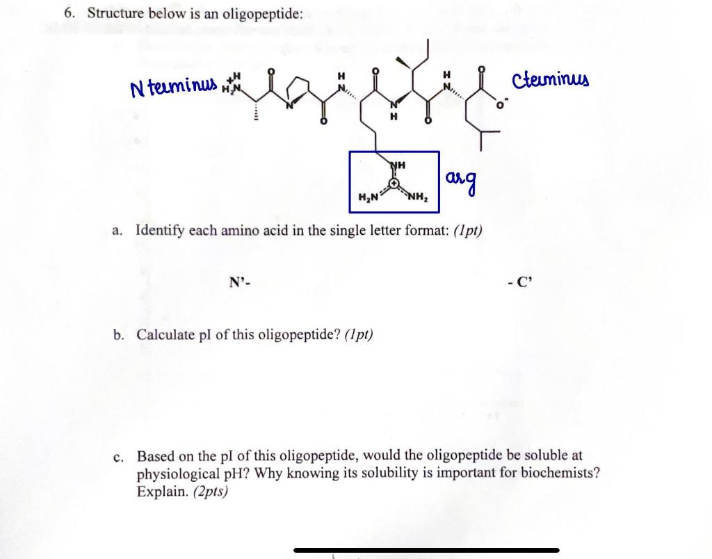 Structure below is an oligopeptide 6. Structure below is an oligopeptide: a.