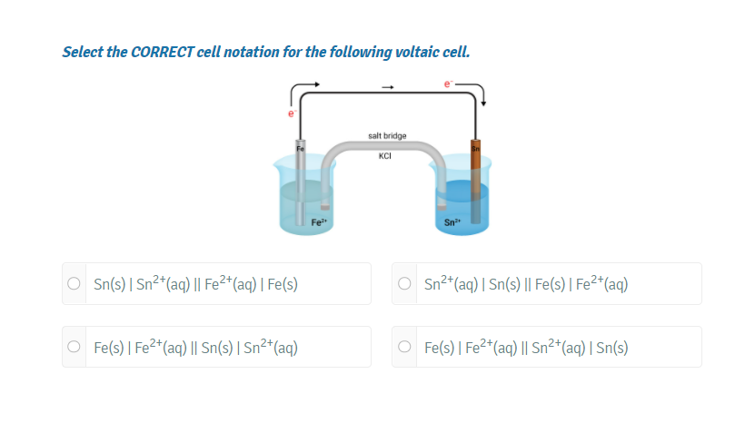 Select the CORRECT cell notation for the following voltaic cell. salt