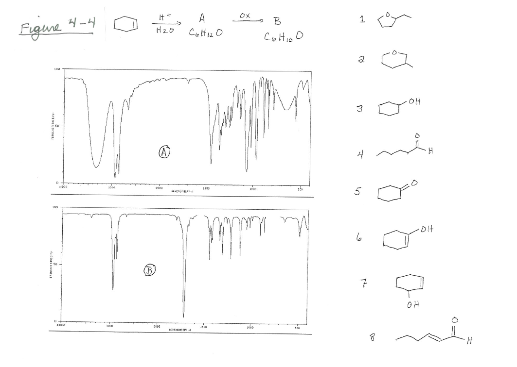 and the structure shown in Figure 4-4. When cyclohexene is treated with