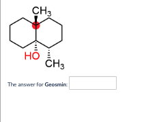 highlighted in red: Please type ane of the following: R or S.