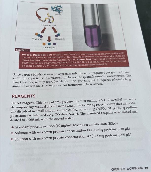 high absorbance values are less dependable. 2. Explain why the color-forming reagent