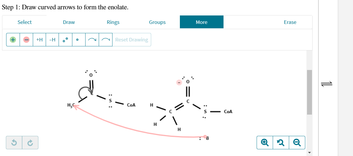 conversion of two acetyl CoA molecules to one acetoacetyl CoA. Analyze each