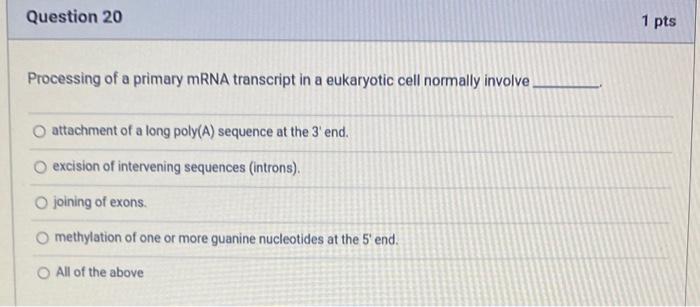 coli? Binding of RNA polymerase, closed complex formation, open complex formation, promoter
