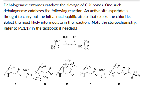 B and D are incorrect answer beside those two which following