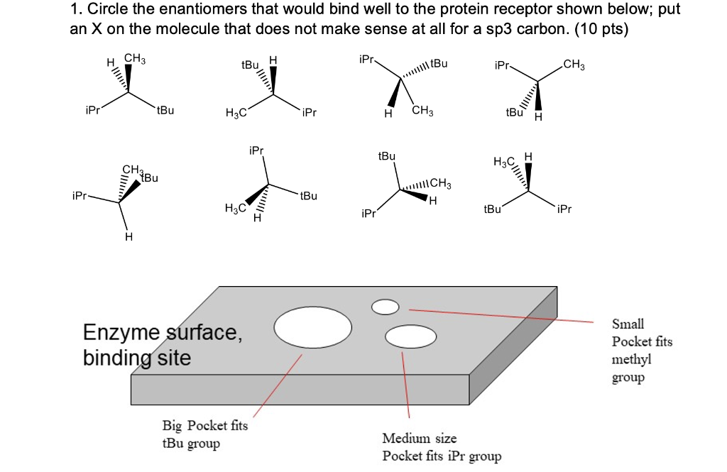 please help out 1. Circle the enantiomers that would bind well to
